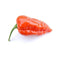Dorset Naga